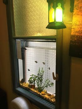 Lavender Circus Hostel, Doubles & Ensuites * Будапешт